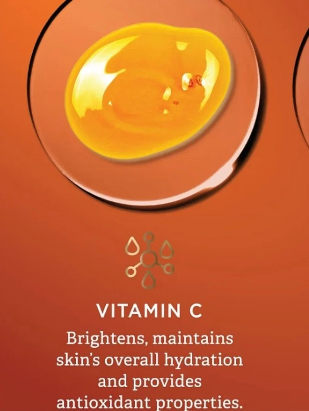 Findley Vitamin C & Hyaluronic Acid All In One Eye Serum. NIB. Unisex.